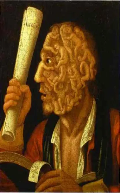 Adam - Arcimboldo